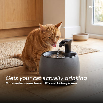 Purflo® Cat Water Fountain 2.0